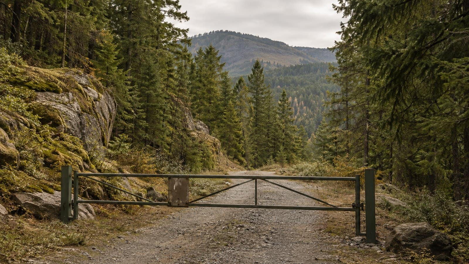 Gate across a gravel forest road marking a public land access boundary