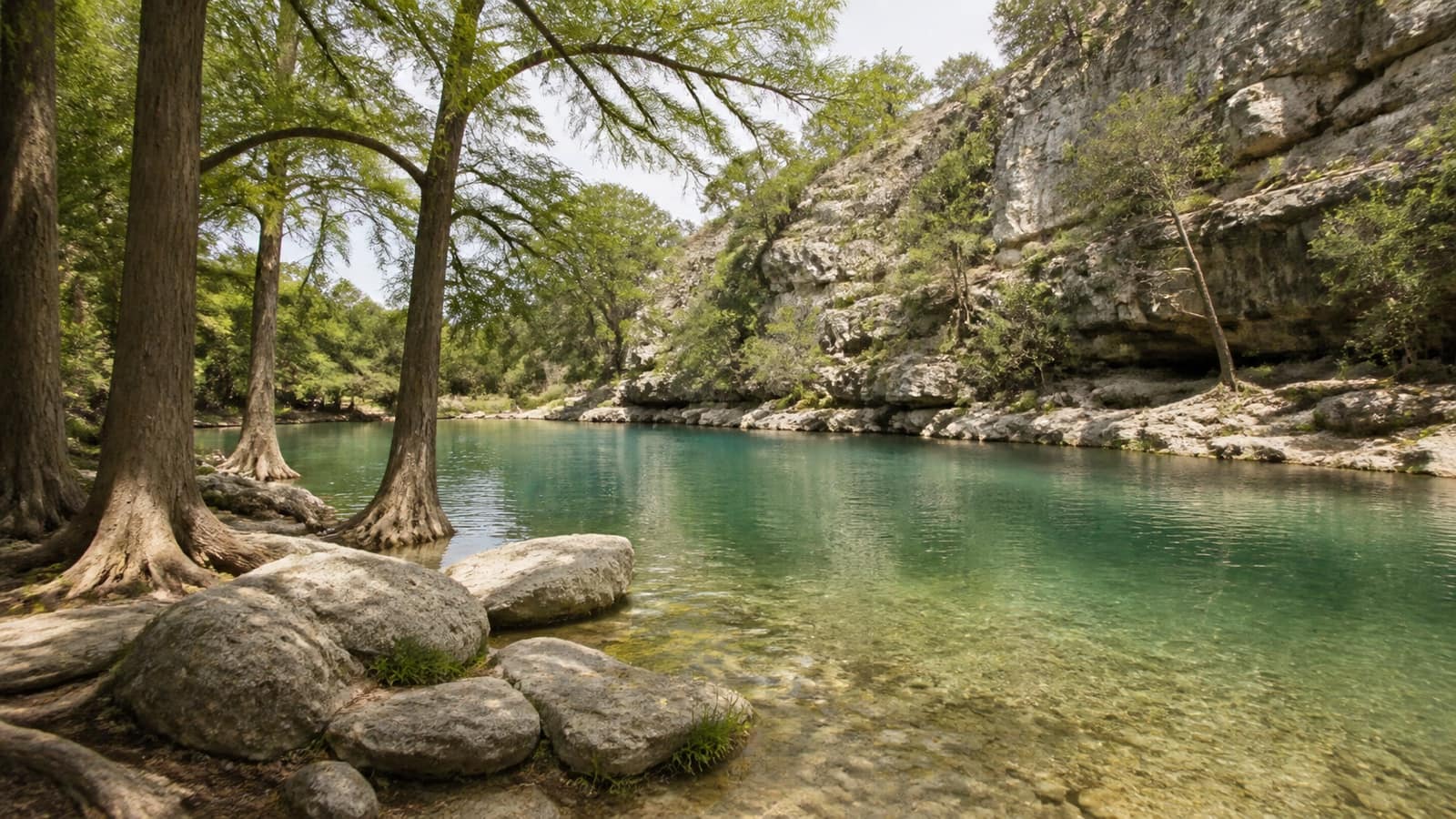 Spring-fed swimming hole with limestone bluffs and cypress trees in the Texas Hill Country