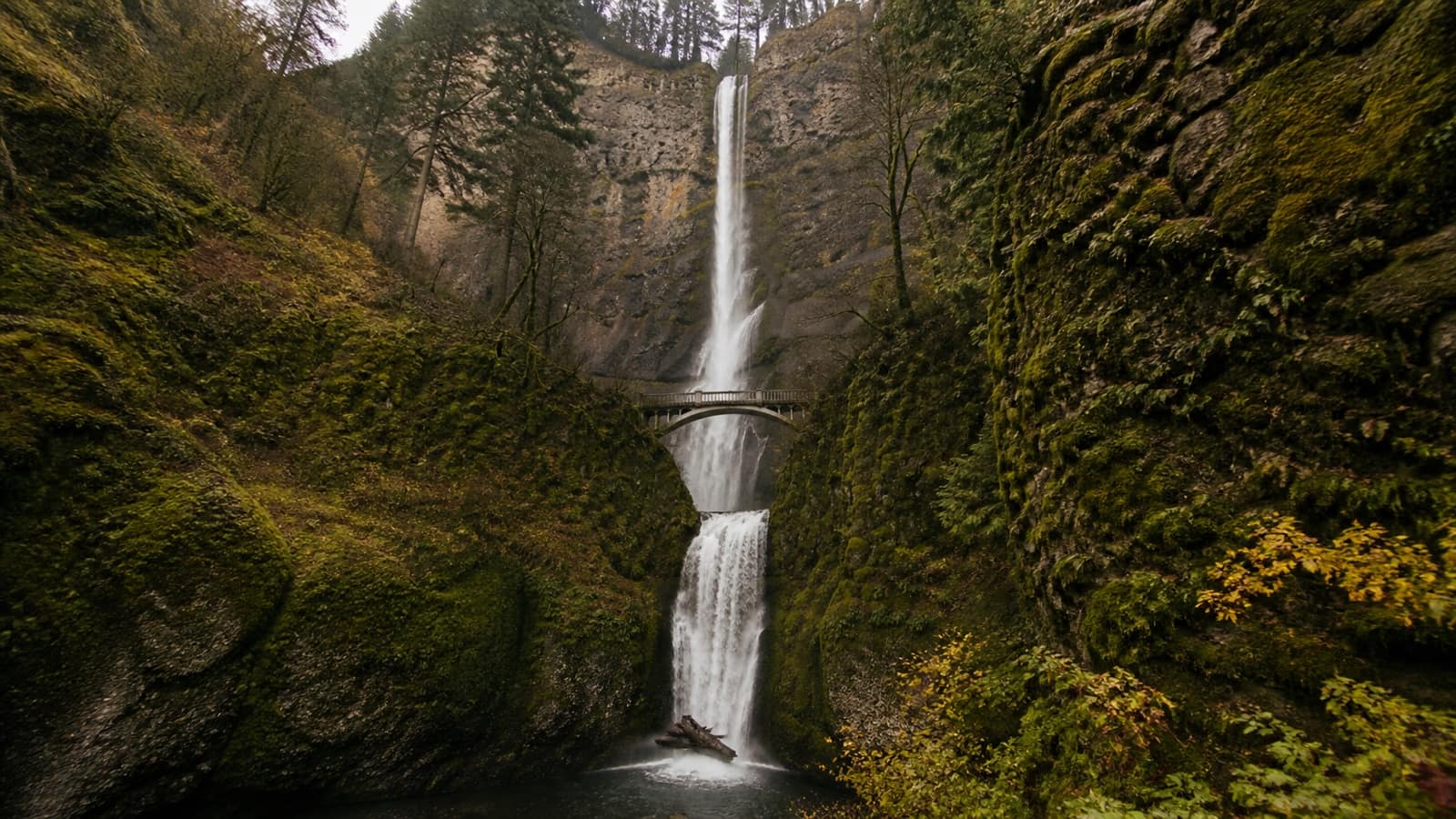 Tall multi-tiered waterfall in a mossy Columbia River Gorge canyon