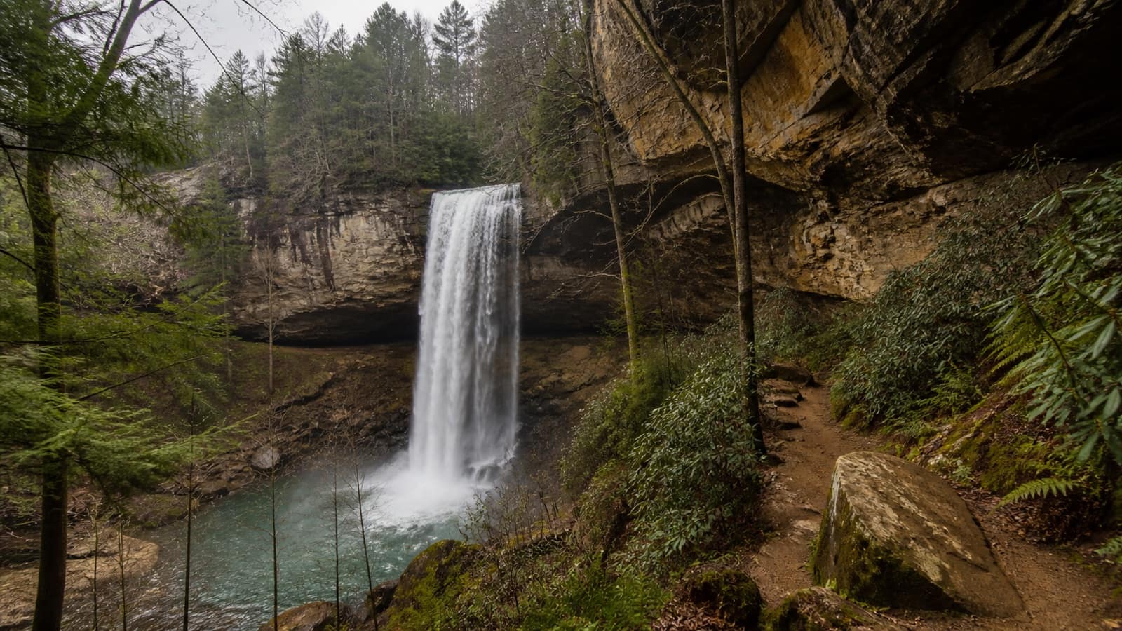 Waterfall dropping into a forested sandstone gorge on the Cumberland Plateau, Tennessee